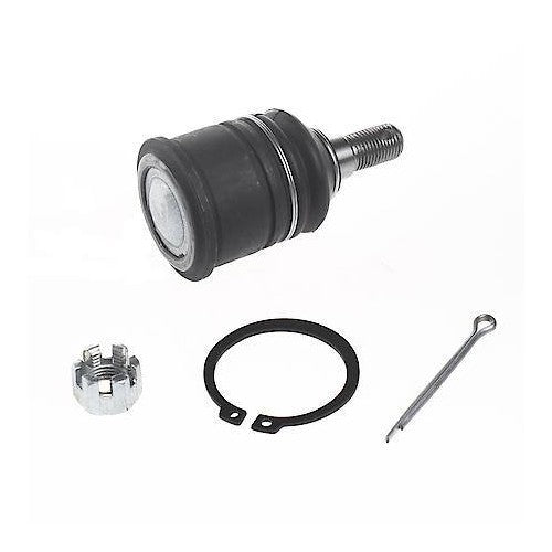 1992-2001 Acura/Honda Front Lower Suspension Ball Joint