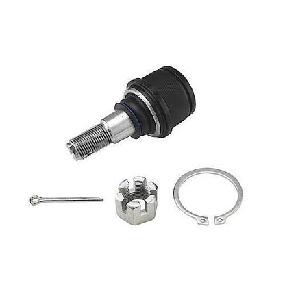 1987-2022 Ford Front Lower Suspension Ball Joint