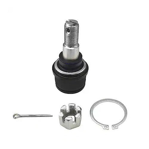 1987-2022 Ford Front Lower Suspension Ball Joint