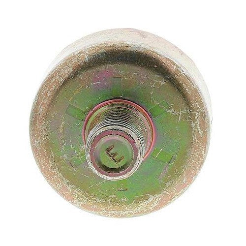 1996-2003 Buick/Chevrolet/GMC/Isuzu/Oldsmobile/Pontiac Ignition Knock