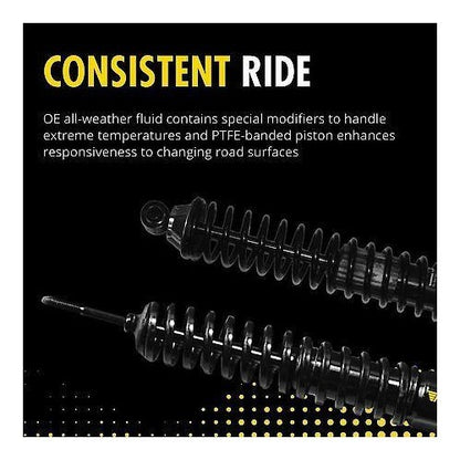 1994-2002 Dodge Rear Suspension Shock Absorber, Coil Spring Assembly Pack of 2