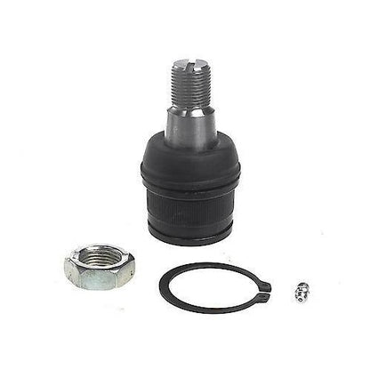 1993-2022 Dodge/Ford Front Lower Suspension Ball Joint