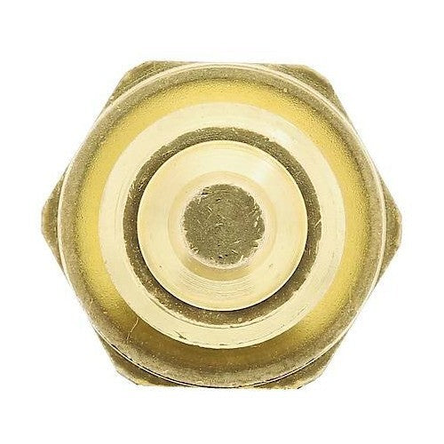 1999-2024 Blue Bird/Dodge/Ford/Freightliner/IC