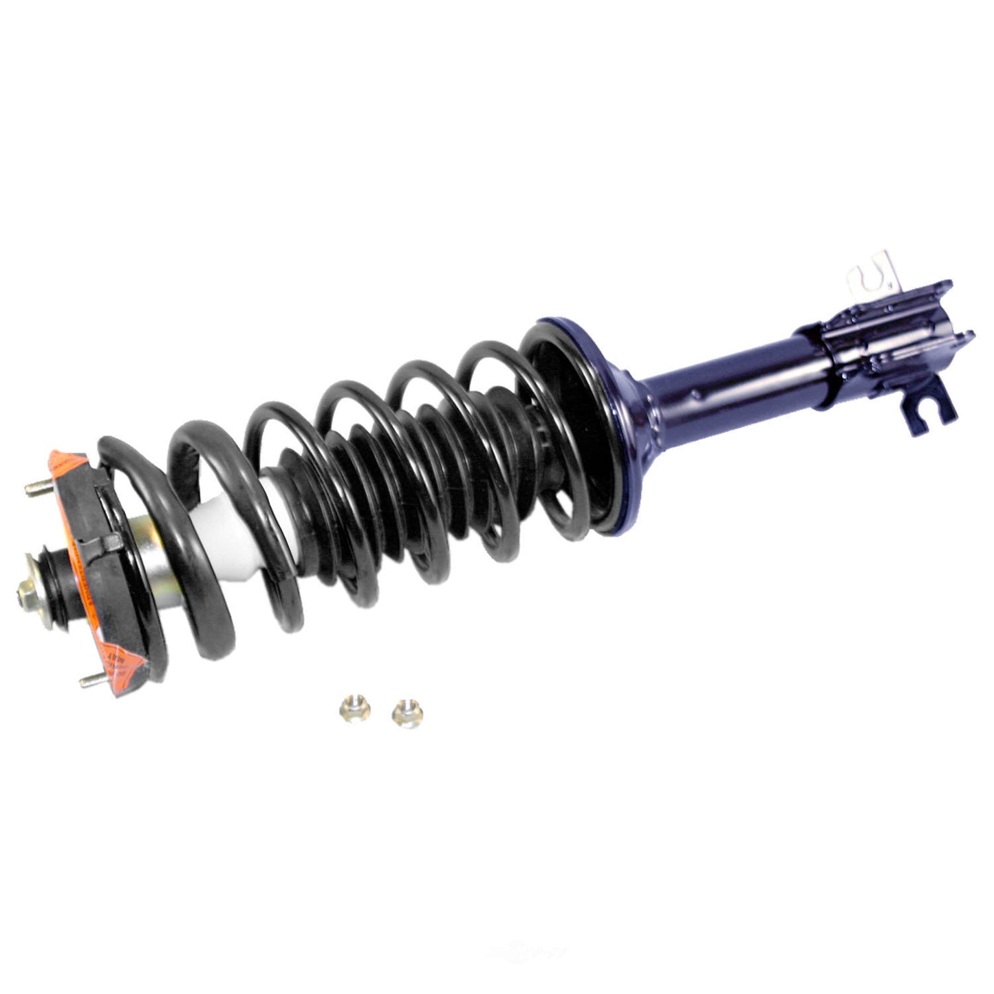 1997-2003 Ford/Mercury Rear Suspension Strut and Coil Spring Assembly