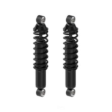 2002-2015 Dodge/Ram 1500/Ram 1500 Rear Shock Absorber Pack of 2