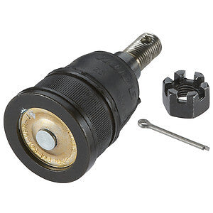 2002-2006 Honda CR-V/Element Front Lower Suspension Ball Joint