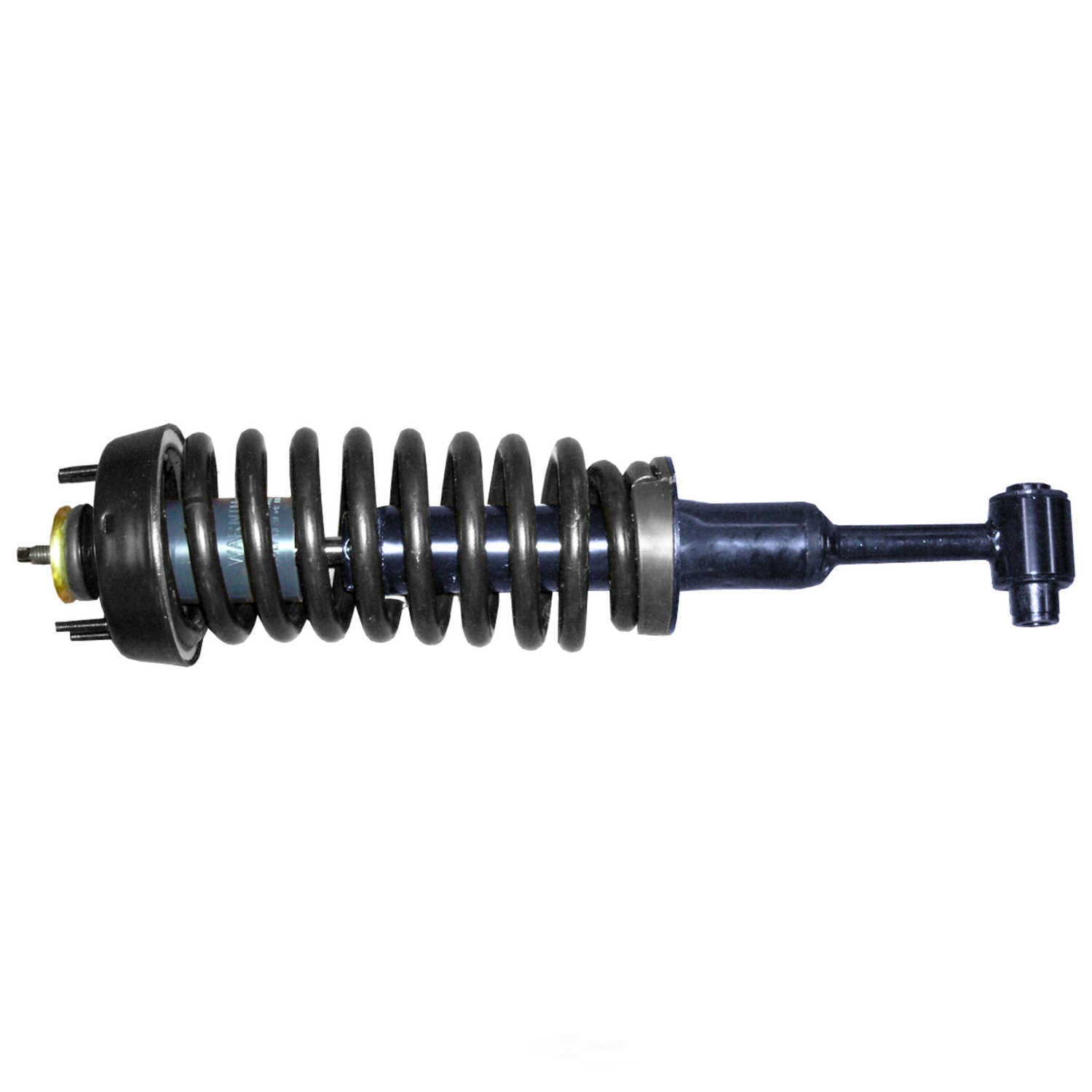 2002-2003 Ford/Mercury Front Suspension Strut and Coil Spring Assembly