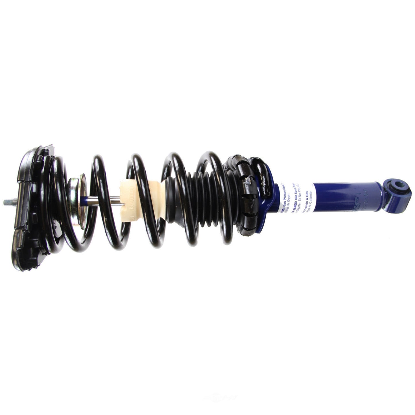2000-2006 Nissan Sentra Rear Suspension Strut and Coil Spring Assembly