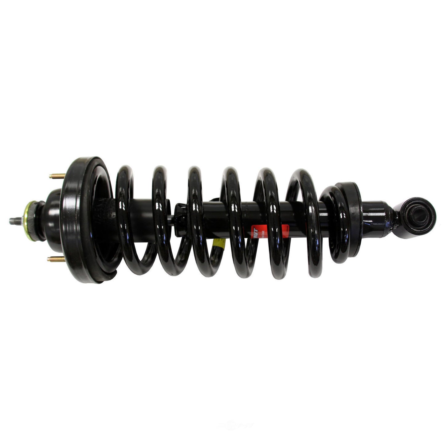 2006-2010 Ford/Mercury Rear Suspension Strut and Coil Spring Assembly