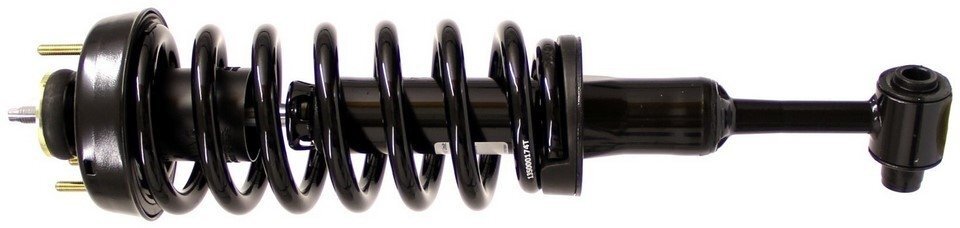 2004-2005 Ford/Mercury Front Suspension Strut and Coil Spring Assembly